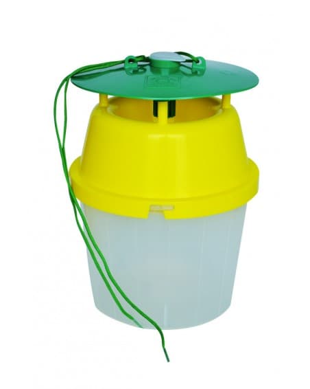 Funnel Trap Transparent 2